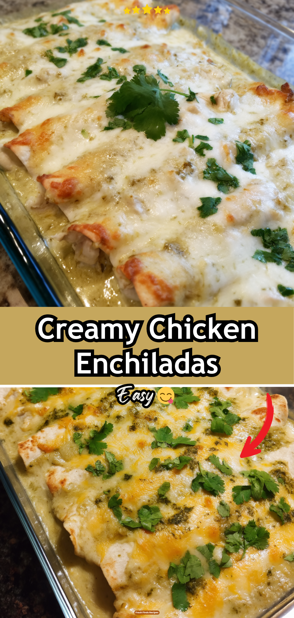 Creamy Chicken Enchiladas