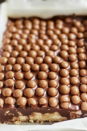 5 Ingredient No Bake Maltesers Slice