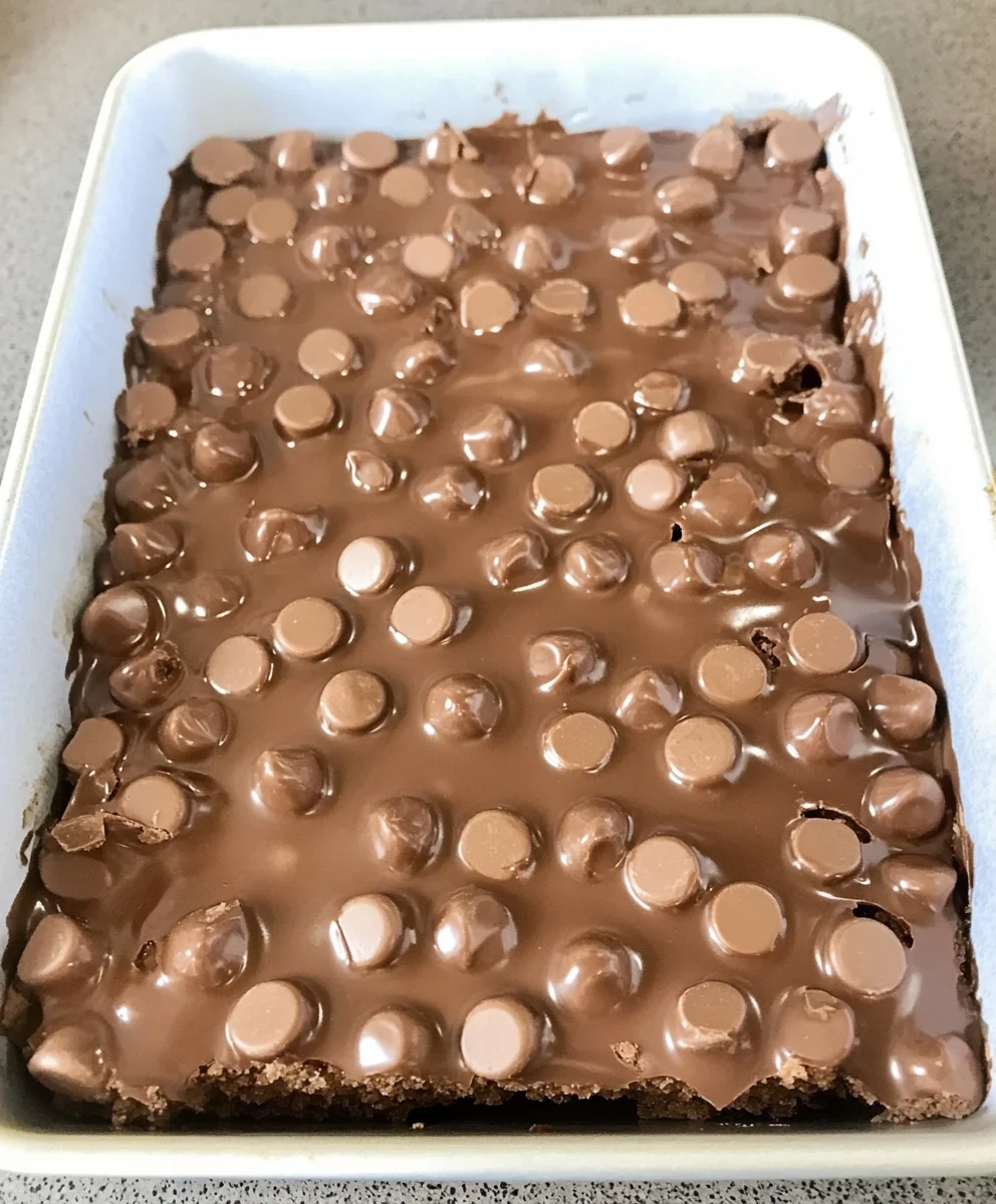 5 Ingredient No Bake Maltesers Slice