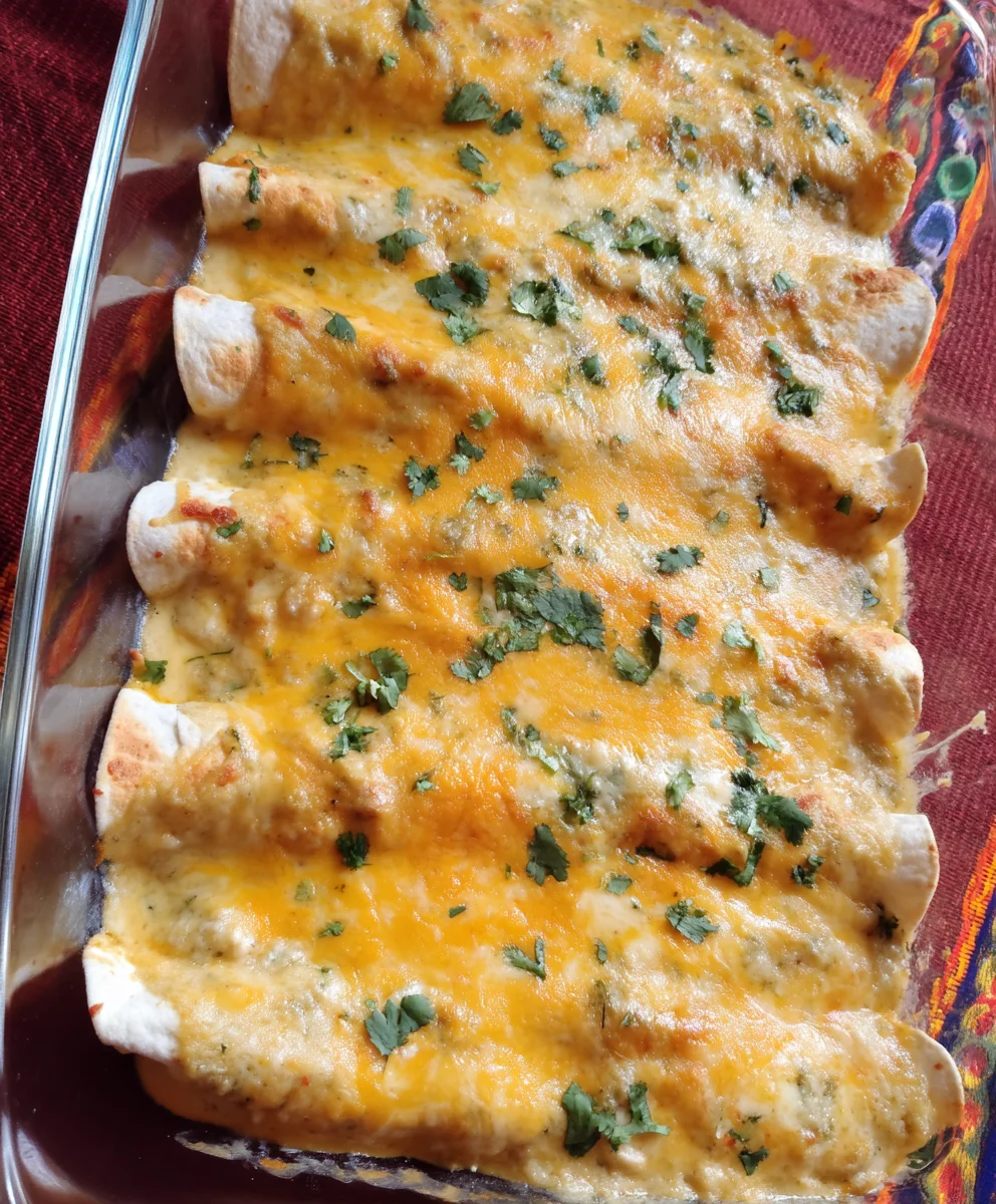 Cream Cheese Chicken Enchiladas 26 Cream Cheese Chicken Enchiladas